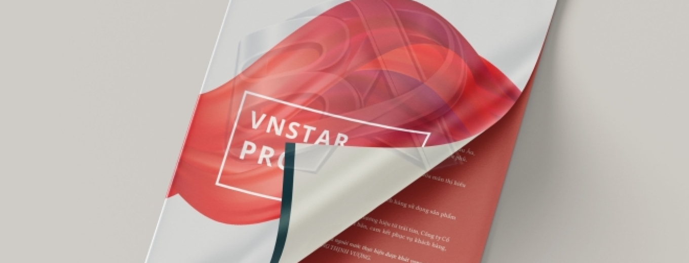 sơn vnstar