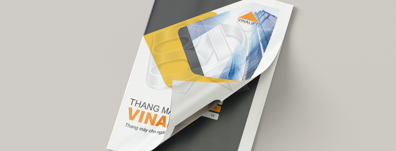 thang máy vinalift