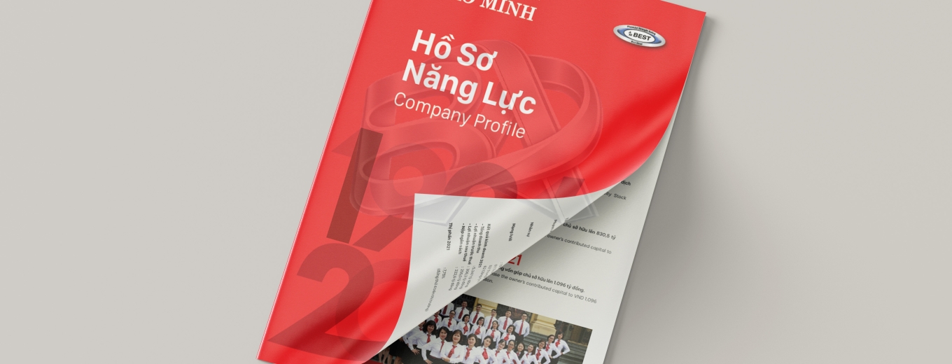 Bảo Hiểm Bảo Minh